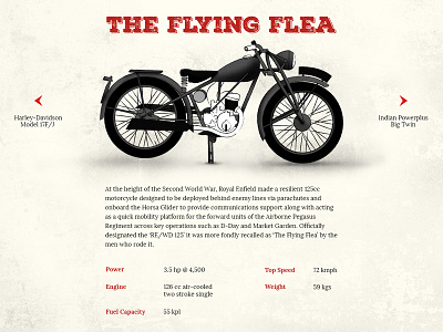 The Flying Flea