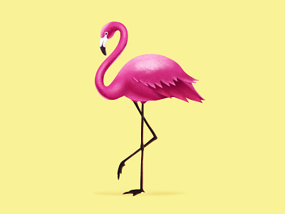 Flamingo 🦕 ✨