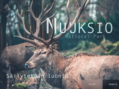 Nuuksio National Park web design design national nature park ui deisgn ui ux web web design