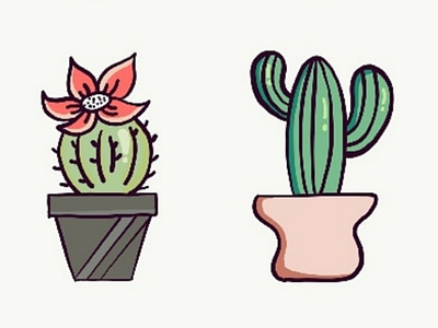 Cacti 01 cacti character design illustration plants