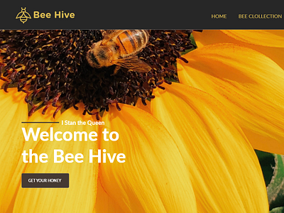 BEE HIVE honey interface photoshop uidesign uxdesign website design yellow
