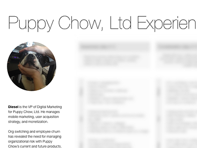 Puppy Chow Experience Map design strategy experience map product strategy service design user research