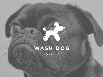 Wash Dog Logo balloons brand identity branding dog dog logo illustration minimal minimal logo pet logo vector visual visual design