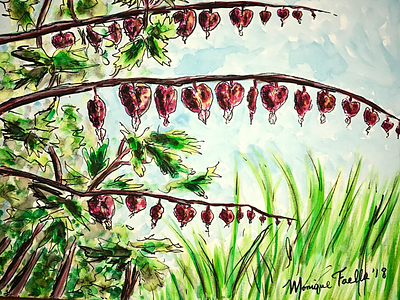 Bleeding Hearts art heart illustration nature painting watercolor