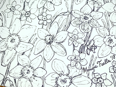 Daffodils Illustration! black and white daffodils doodle flowers illustration markers sharpie spring