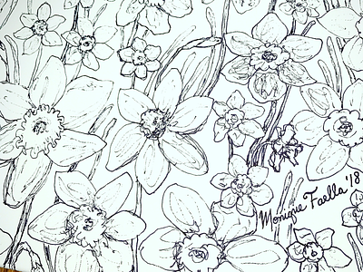 Daffodils Illustration!