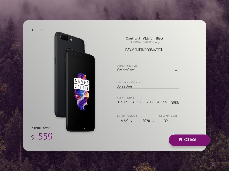 Credit Card Checkout checkout form ui