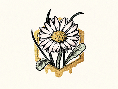Royal Card Illustration - Medeni Butik Voglar card design drawing flower gold honey illustration ink luxury slovenia