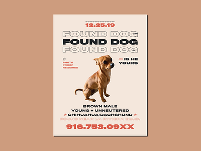 FOUND DOG FLYER design founddog poster