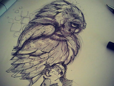 Owl Sketch analog birds drawing owl sketch sketching