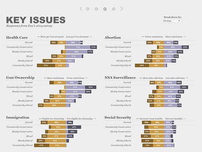 Key Political Issues data visualization politics