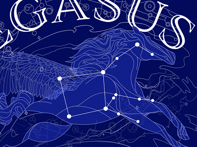 Pegasus Constellation Illustration illustration vector