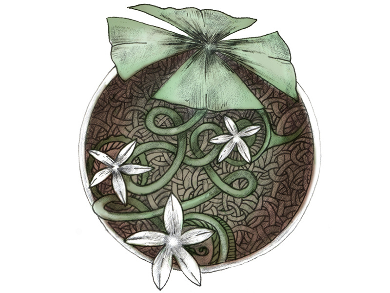 Shamwow shamrock illustration