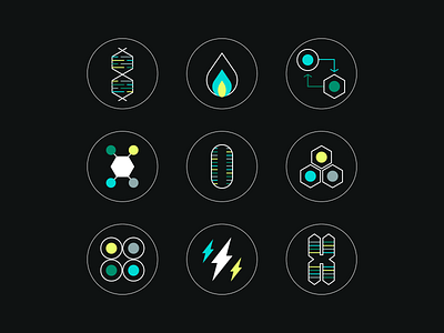 Custom Graphics for Health Ventures Fund aging biology branding dna genome health healthcare humans iconography illustration longevity medical research scientific stem cell ventures