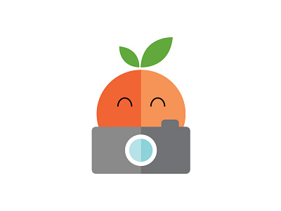 Professional Orange camera fruit illustration illustrator orange photography picture vector