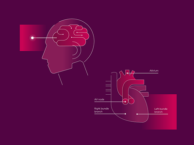 Medical illustrations serie 01 brain clinical flat head heart illustration medical neuroscience organ pharmaceutical purple vector