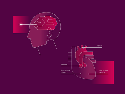 Medical illustrations serie 01