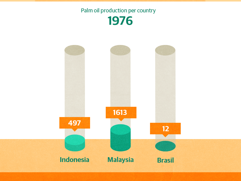 Palm oil production graph brasil chart flat graph growth guardian infographic palmoil sustainable timeline vector