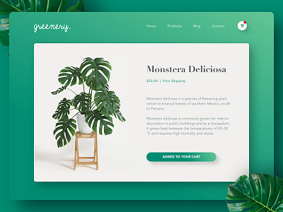 Shopping Cart cart dailyui monstera plants shopping