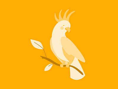Cockadoo bird cockadoo digital illustration illustration parrot vector illustration