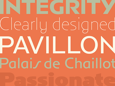 Anisette Petite Pro almost ready 2001 2013 anisette anisette petite geometric sans sanserif typofonderie