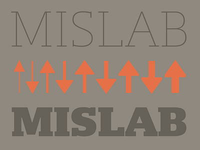 Mislab adaptable arrows