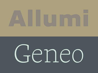 Allumi + Geneo allumi font geneo opentype pairing typofonderie typography