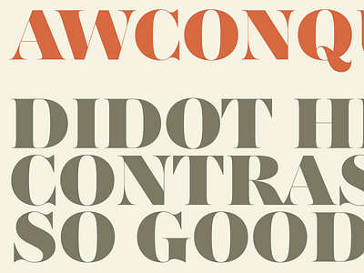 AW Conqueror Didot Black preview 2014 awconqueror contrast didot font high typeface typofonderie typography zecraft