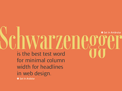 Schwarzenegger: best test word! ambroise ardoise ecvny2015 font typography web