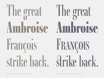 Ambroise Pro François ambroise didot fonts opentype pro typefaces typography