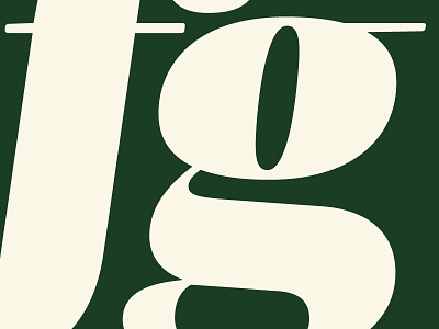 Mencken Pro Head Black Italic f + g baltimoresun didot fonts forthcoming gf mencken opticalsizes typefaces typofonderie typography