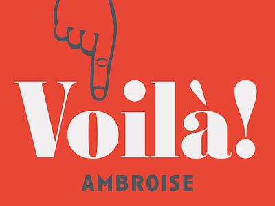 Ambroise 2016 launched! by Jean François Porchez on Dribbble