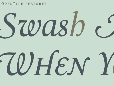 Swash me a River OpenType features tests 1999 2012 classic le monde livre porchez réguer typeface typofonderie typography