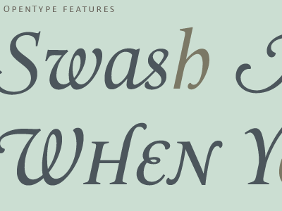 Swash me a River OpenType features tests