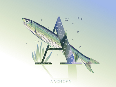 A is for anchovy fish illustration letterchallenge typography vector
