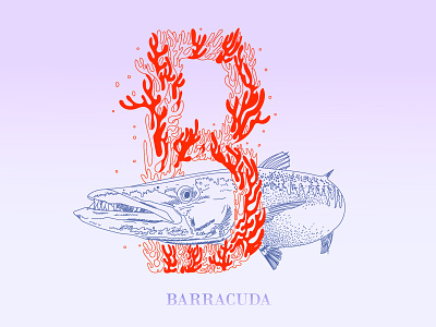 B is for barracuda abc fish illustration letter challenge line art