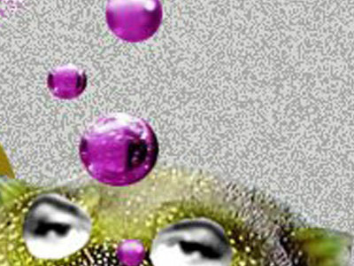 Tranformation collage colours digital art digital collage illustration illustration art