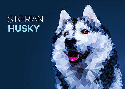 Polygonal Siberian Husky vector illustration background design graphic illustration polygonal poster realistic vector