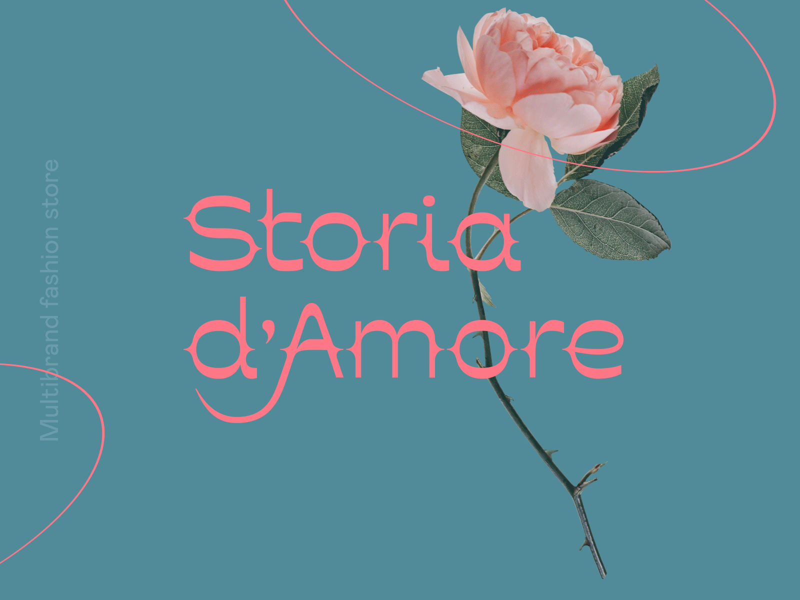 Storia d'Amore Logo animation beauty brand branding design fashion font gif identity lettering logo logotype retro rose typeface typography vector