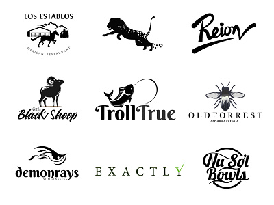 LOGO Portfolio BNW (2018)