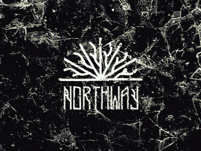 Northway coldness font frost ice modular northway permafrost snow typeface typeface design winter