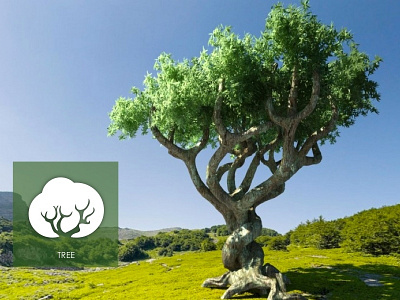 Ícono árbol naturaleza verde árbol ícono