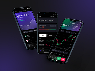 Crypto App by Denis Stekhin for Outline2Design on Dribbble