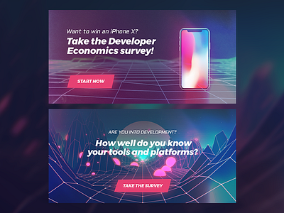 Developer Survey Q3 Banners banners coding cyberpunk dev development fb futuristic iphonex promo retro social twitter