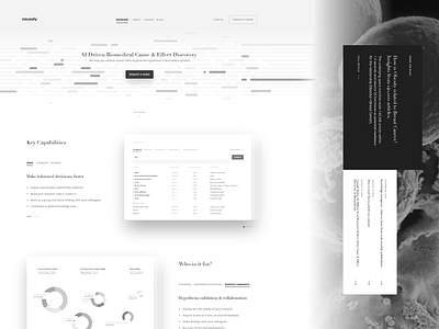 website v.2 wireframes ai artificial intelligence biomedical blog flow high fidelity homepage landing page nlp process product research saas screenshot service ui user experience ux web app website