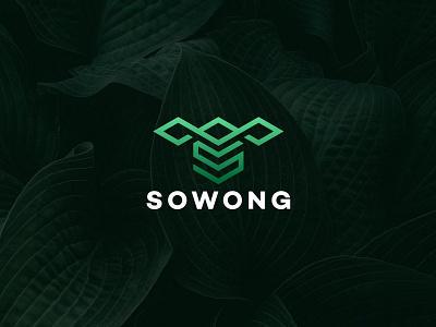 SOWONG Logo Design Concept
