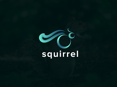 Modern squirrel logo concept creative logomaker