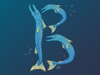 Barracuda animal b barracuda bubbles cap drop fish gradient illustration lettering type water