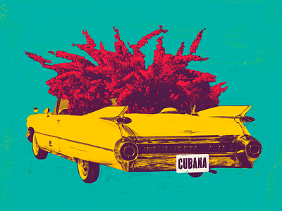 Cubana artwork car collage composition cuban flowers illustration latino tropical