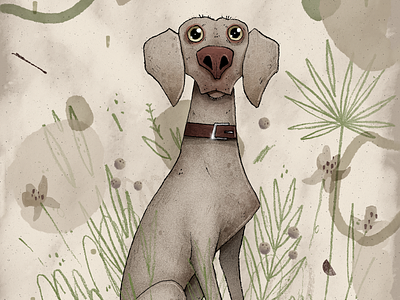 Maxito art artwork character character design dog handmade illustration portrait puppy weimaraner